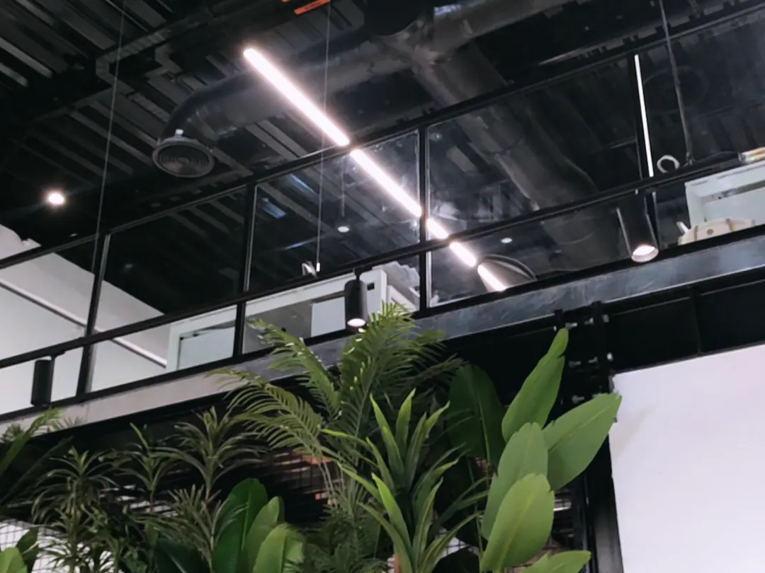 Optima office: exposed black ceiling with linear lights, plants over a glazed partition (frame 2 of 2)